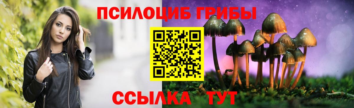 Псилоцибиновые грибы Psilocybe  Галлюциногенные грибы GOLDEN TEACHER  Вход с VPN  Новоуральск 